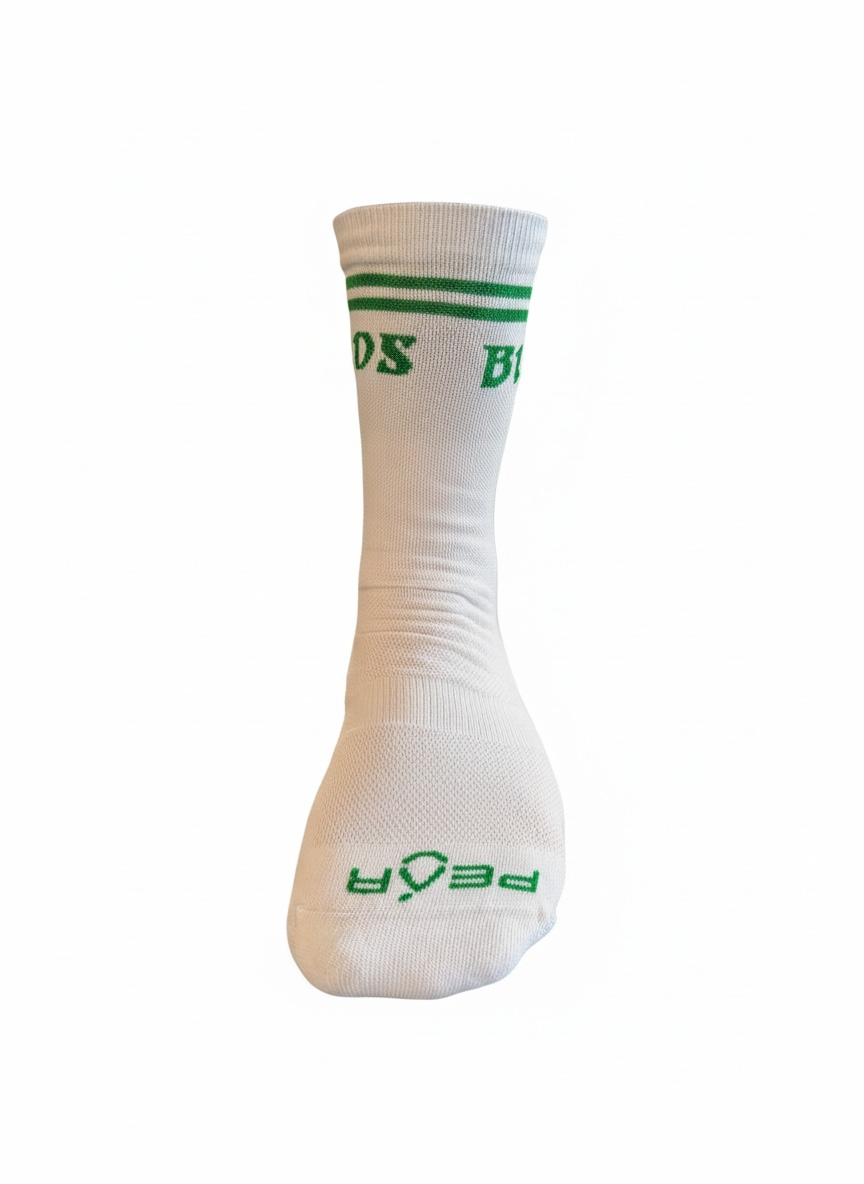 BIRDS Socks